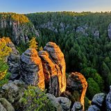 Sächsische Schweiz - Blick auf Felsen und Bäume