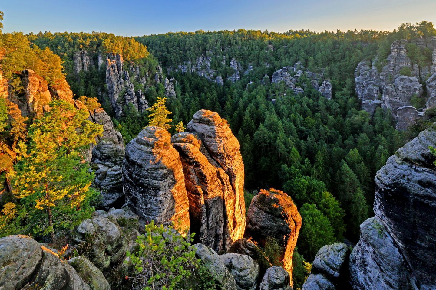 Sächsische Schweiz - Blick auf Felsen und Bäume