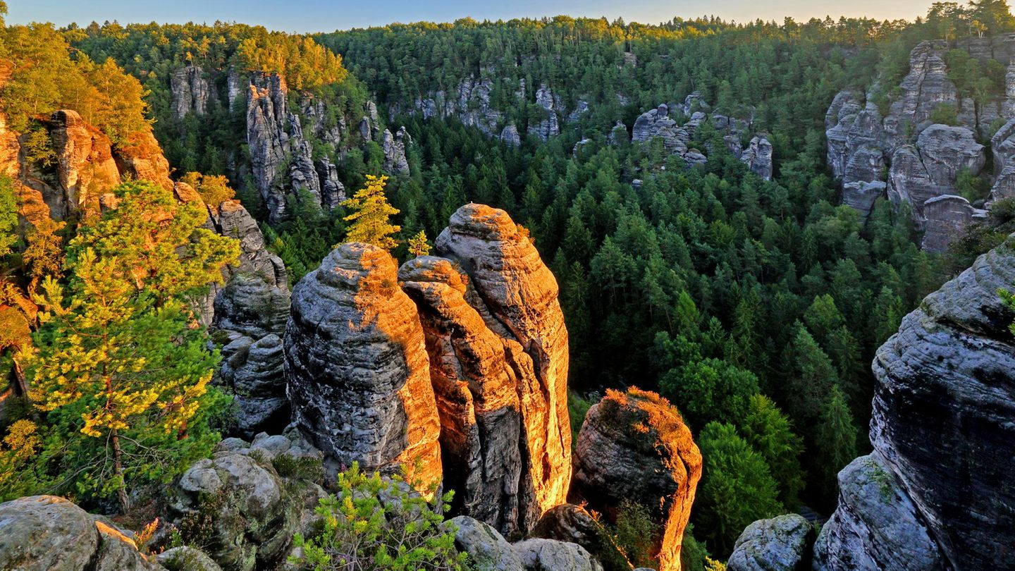 Sächsische Schweiz Sächsische Schweiz - Blick auf Felsen und Bäume