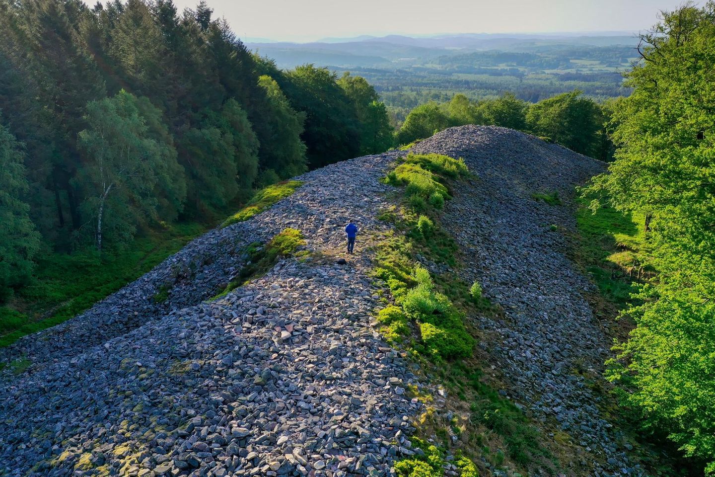 Ringwall im Nationalpark Hunsrück