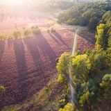 Naturerlebnispfad Südheide (Lüneburger Heide, Niedersachsen)