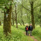 Traumschleife-Der Bergene