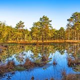 Nordpfad Dör’t Moor (Rotenburg (Wümme), Niedersachsen)