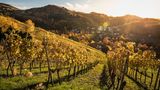 Alde Gott Genießerpfad (Schwarzwald, Baden-Württemberg)