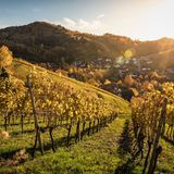 Alde Gott Genießerpfad (Schwarzwald, Baden-Württemberg)