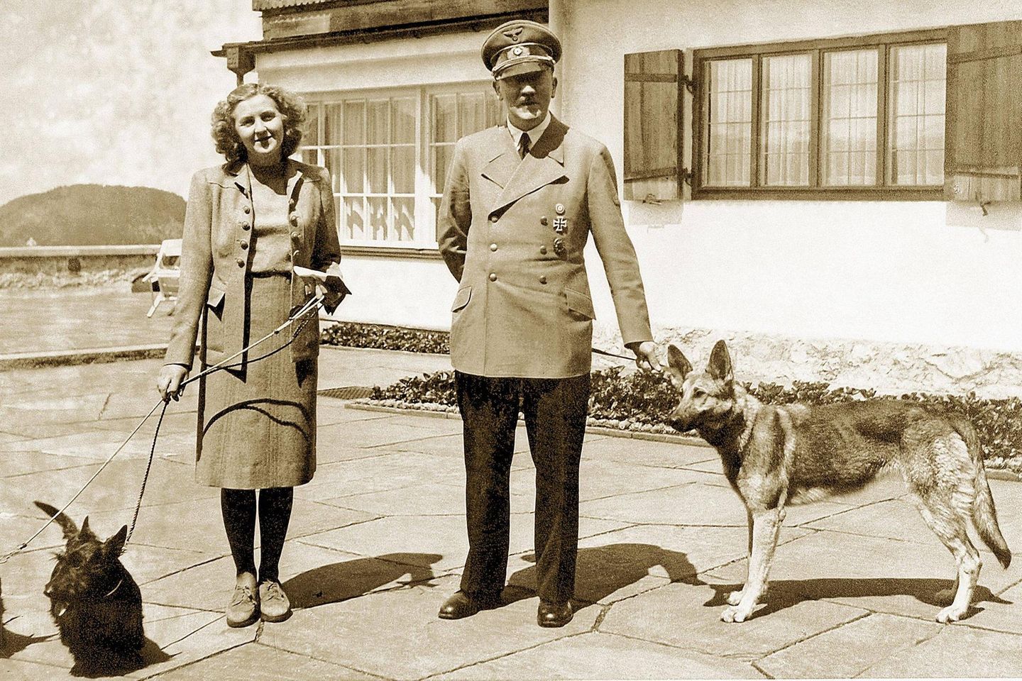 Hitler hatte im Laufe seines Lebens etwa 13 Hunde. Berühmt wurde die Schäferhündin Blondi, hier 1942 auf dem Berghof im Berchtesgadener Land