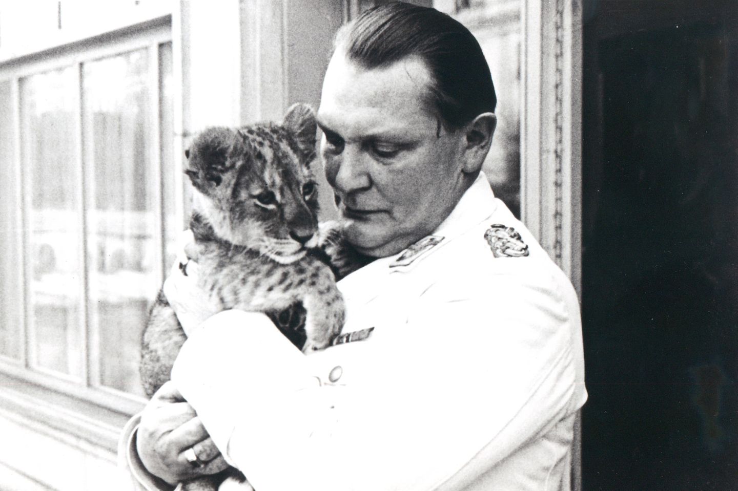 Hermann Göring zog sieben Löwen auf, hier 1938. Die Raubtiere symbolisierten wohl Macht und Geltung