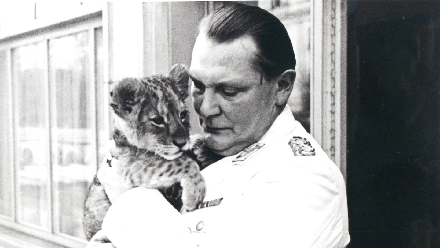 Hermann Göring zog sieben Löwen auf, hier 1938. Die Raubtiere symbolisierten wohl Macht und Geltung