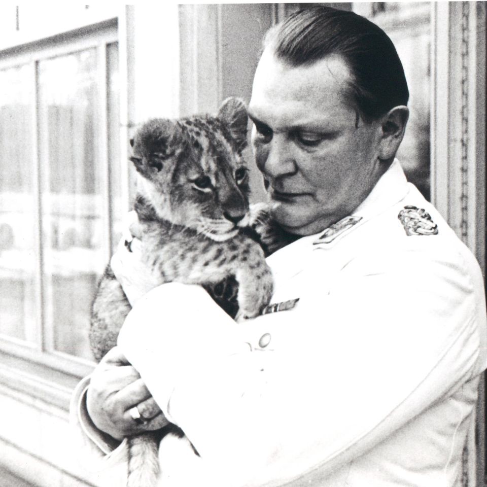 Hermann Göring zog sieben Löwen auf, hier 1938. Die Raubtiere symbolisierten wohl Macht und Geltung