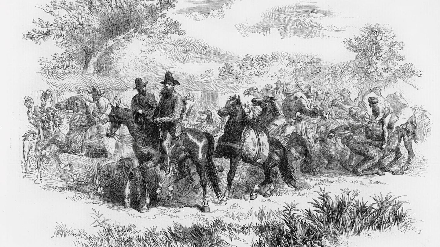 Tragisches Entdecker-Duell: 15000 Menschen jubeln den Abenteurern zu: Im August 1860 brechen Burke, Wills sowie 13 weitere Europäer und vier indische Kamelhirten in Melbourne auf. Im Auftrag der Kolonie Victoria sollen sie Australien erstmals von Süd nach Nord durchqueren 15000 Menschen jubeln den Abenteurern zu: Im August 1860 brechen Burke, Wills sowie 13 weitere Europäer und vier indische Kamelhirten in Melbourne auf. Im Auftrag der Kolonie Victoria sollen sie Australien erstmals von Süd nach Nord durchqueren