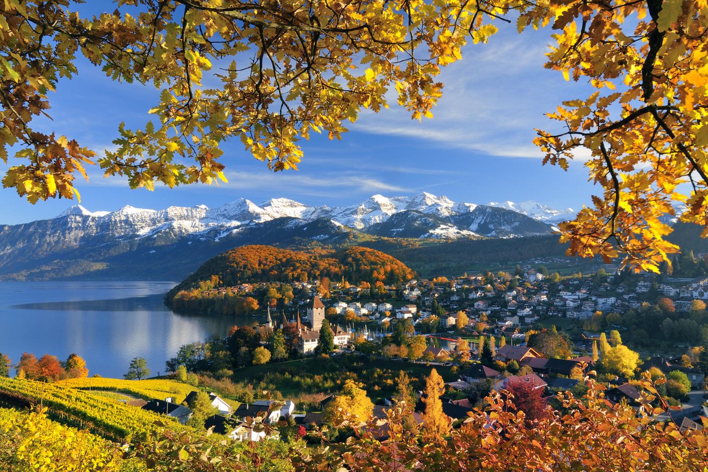 Spiez am Thunersee mit Berner Alpen im Hintergrund im Herbst
