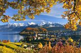 Spiez am Thunersee mit Berner Alpen im Hintergrund im Herbst