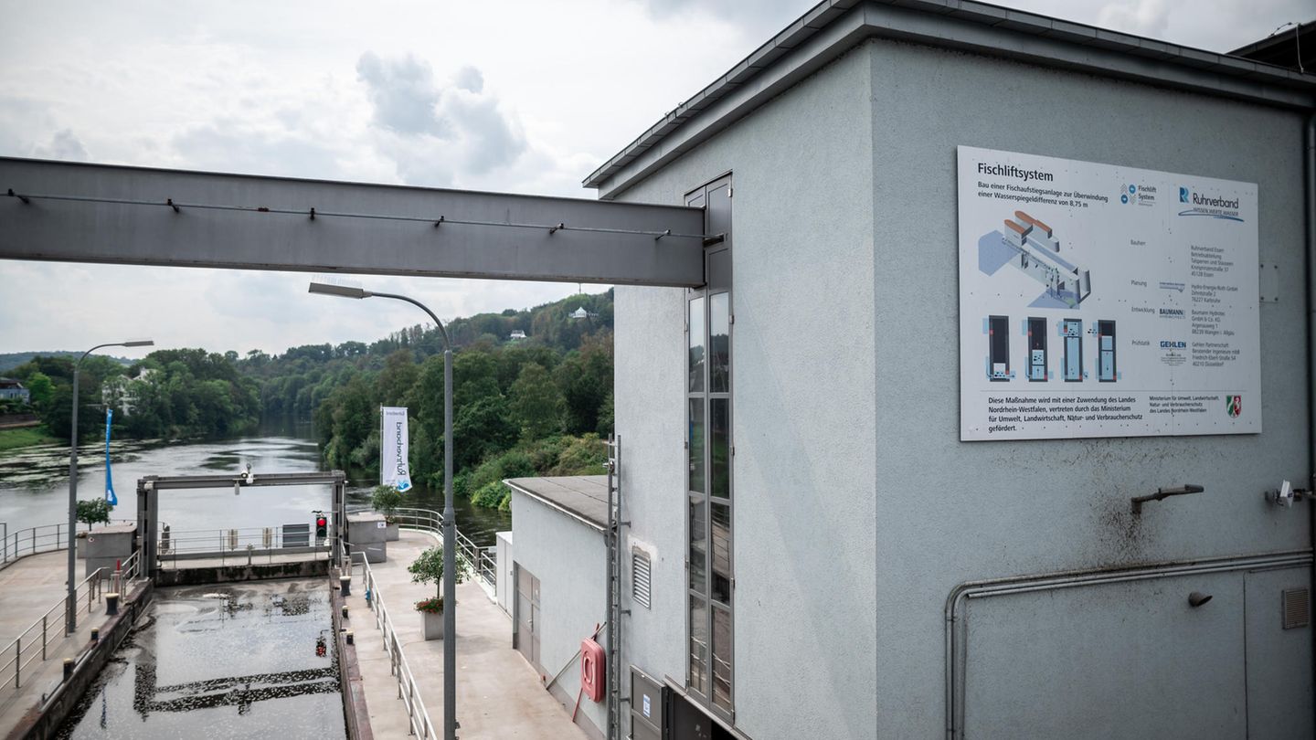 Kein Hindernis mehr: Der Lift transportiert die Fische am Baldeneysee neun Meter hoch und übers Stauwerk