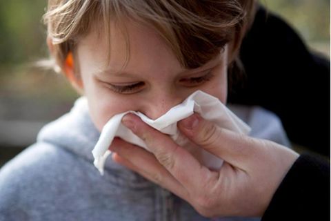 Gefühlt läuft das Näschen den ganzen Winter. Gerade im ersten Kitajahr machen Kinder viele Infekte durch
