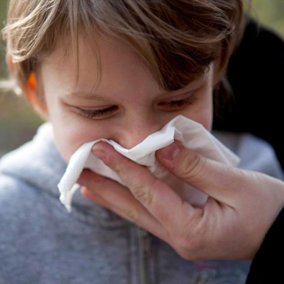 Gefühlt läuft das Näschen den ganzen Winter. Gerade im ersten Kitajahr machen Kinder viele Infekte durch