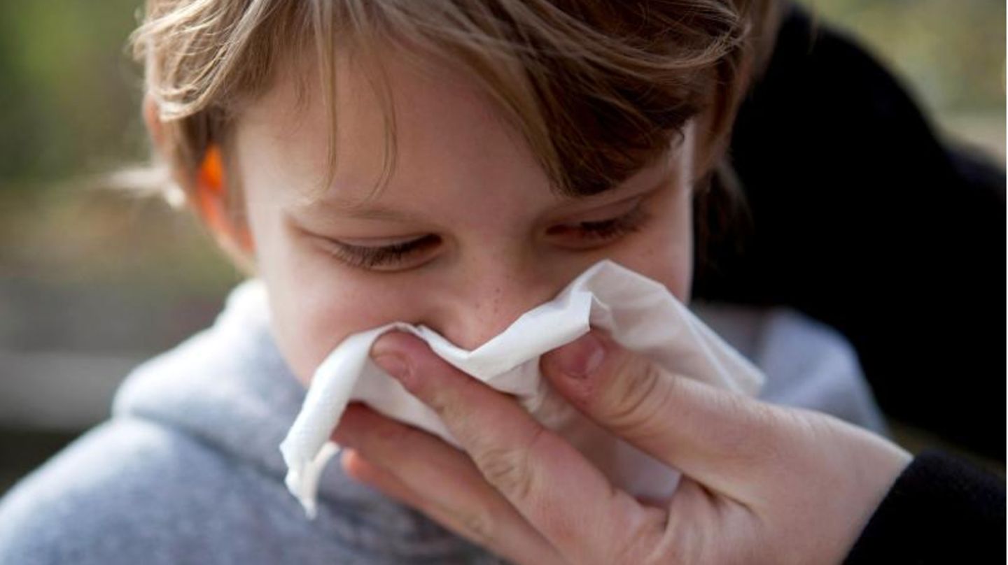 Gefühlt läuft das Näschen den ganzen Winter. Gerade im ersten Kitajahr machen Kinder viele Infekte durch