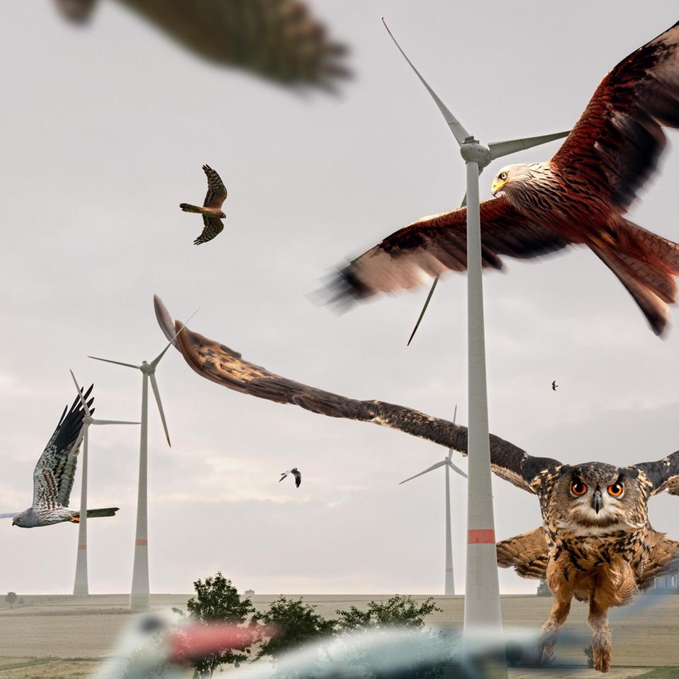 Windkraftanlagen lassen sich inzwischen technisch so aufrüsten, dass sie anfliegende Vögel erkennen und die Rotoren rechtzeitig stoppen – zum Wohl etwa von Rotmilan und Uhu, Weißstorch und Wiesenweihe