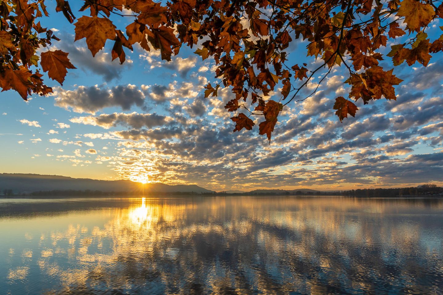 Platz 2: Bodensee Bodensee im Herbst