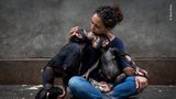 Wildlife Photographer of the Year: In einer Auffangstation für Schimpansen-Waisen wird eine neue Bewohnerin an ihre Artgenossen gewöhnt