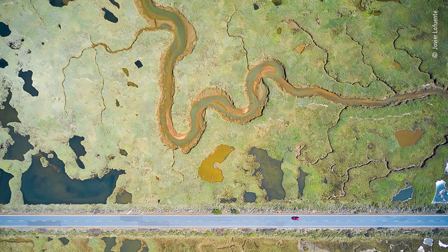 Wildlife Photographer of the Year: Spanien: Diese Straße gewährt seit den 1980er-Jahren Zugang zum Strand. Gebaut wurde sie mitten durch ein ökologisch wertvolles Feuchtgebiet