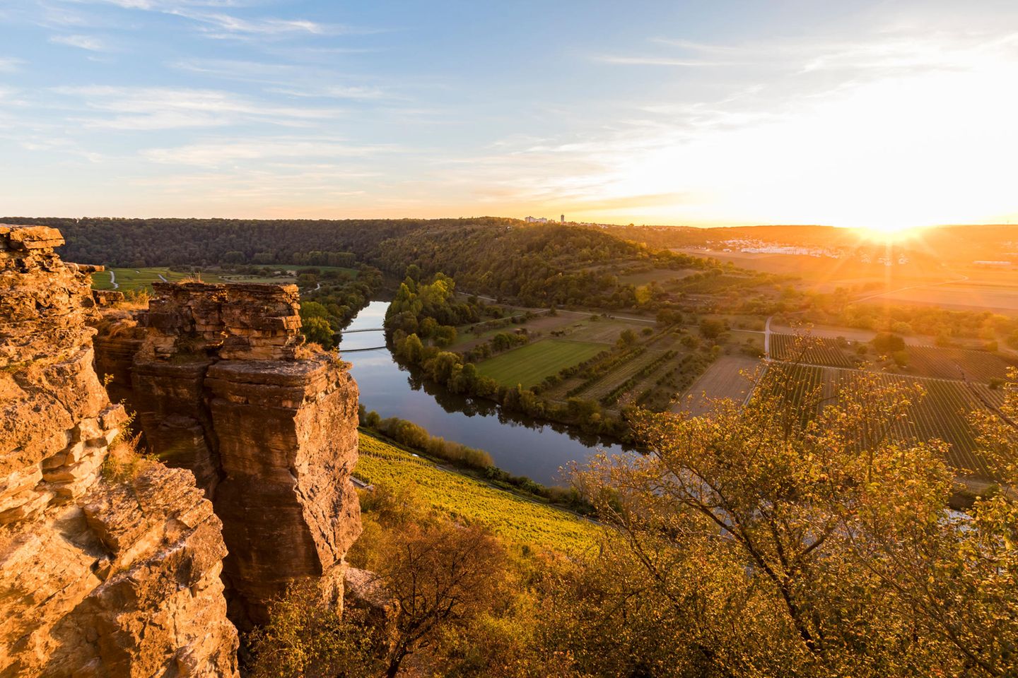 Neckar Germany, Baden-Wuerttemberg, Hessigheim, Neckar Valley, Neckar river, Neckarbecken, Hessigheimer Felsengaerten Nature Reserve