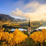 The Moselle loop, a beautiful river in Germany, makes a 180 degree loop. with vineyards and a great landscape and lighting in the morning