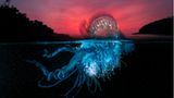 Eine Portugiesische Galeere unter apokalyptischen Himmel fängt Matty Smith mit seiner Kamera ein. Er wird Zweiter in der Kategorie "Collective Portfolio Award".