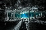 Märchenhaft wirkt die mexikanische Cenote Dos Pisos. Durch das Licht im Hintergrund werfen die Speläotheme, sekundäre Mineralablagerungen, lange Schatten. Martin Broen siegt  mit diesem Bild in der Kategorie "Exploration Photographer of the Year".