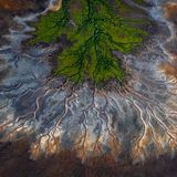 „Life colour“ nennt Scott Portelli seine Luftaufnahme: Der Golf von Carpentaria in Australien während der Regenzeit. Üppige grüne Mangroven säumen das Watt, eine Vielzahl von gewundenen Flüssen, Bächen und Flussmündungen schaffen ein komplexes und lebendiges Ökosystem. Diese „Lebensfarben“ erhalten eine lobende Erwähnung in der Kategorie „Landscape“.