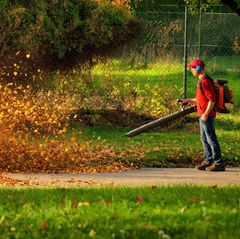 Nervensägen: Laubbläser erzeugen einen Schalldruck von über 100 Dezibel