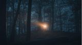 Nachtwanderung im Wald