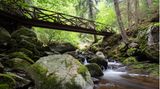Ravennaschlucht