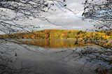 Seeufer im Herbst bei Mölln