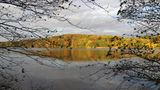 Seeufer im Herbst bei Mölln