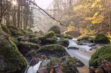 Fluss im Triebtal im Vogtland