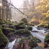 Fluss im Triebtal im Vogtland