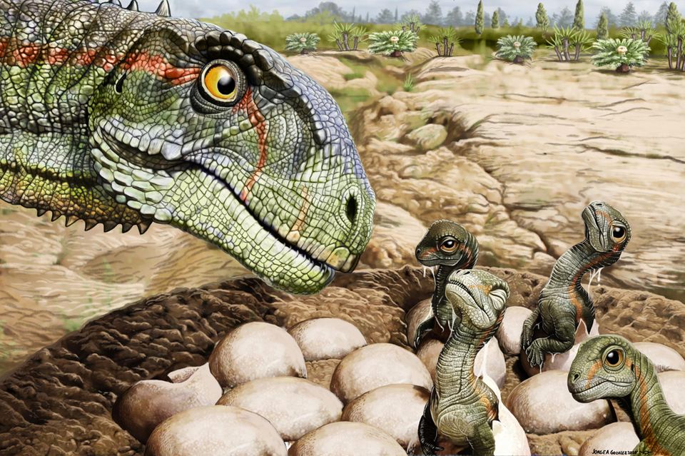 So könnte eine Familie von Mussaurus patagonicus ausgesehen haben