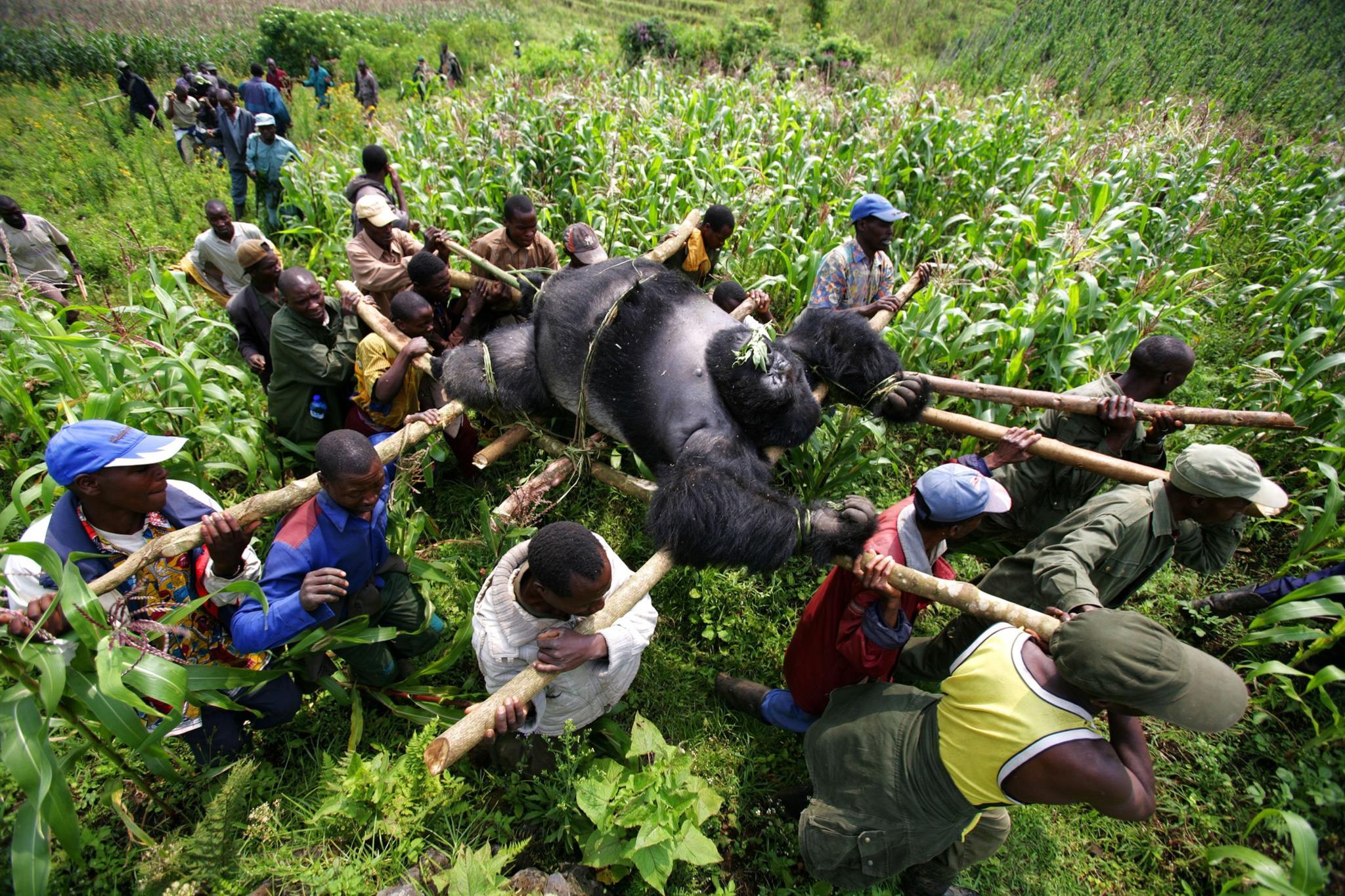 Fotograf Brent Stirton im Porträt Bild