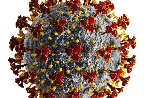 Coronavirus, Illustration