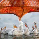 Lake Kerkiniki, Greece
