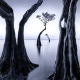 Sumba Island, Indonesia