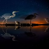 Kiskunsag National Park (Hungary)