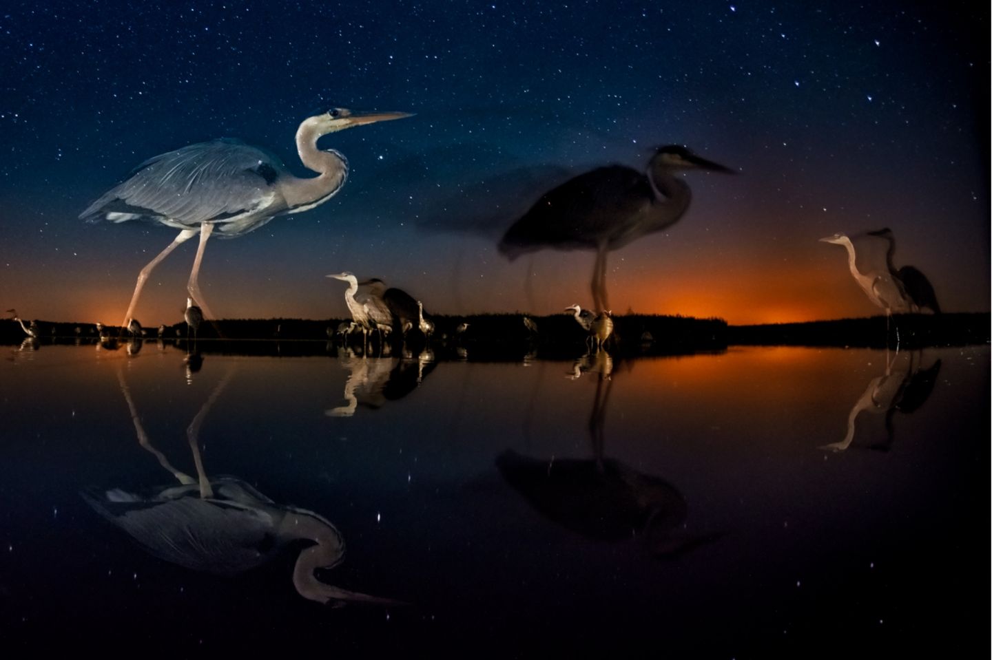 Kiskunsag National Park (Hungary)