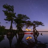 Mac Stone fotografiert leidenschaftlich gerne Feuchtgebiete und Sumpflandschaften, um der ganzen Welt die Schönheit dieser Landschaftsformen zu zeigen. Wenn er auf mehrtägigen Erkundungstouren durch die Natur streift, ist ein trockener Untergrund zum Schlafen in der Nacht nur schwer zu finden. Am liebsten schläft er daher in einer Hängematte – auch, um sich über lauernden Alligatoren zu schützen. Der US-Amerikaner wurde für sein Selbstporträt mit dem zweiten Preis in der Kategorie "Reisen und Abenteuer" ausgezeichnet
