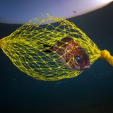 Bacoli, Napoli Italy