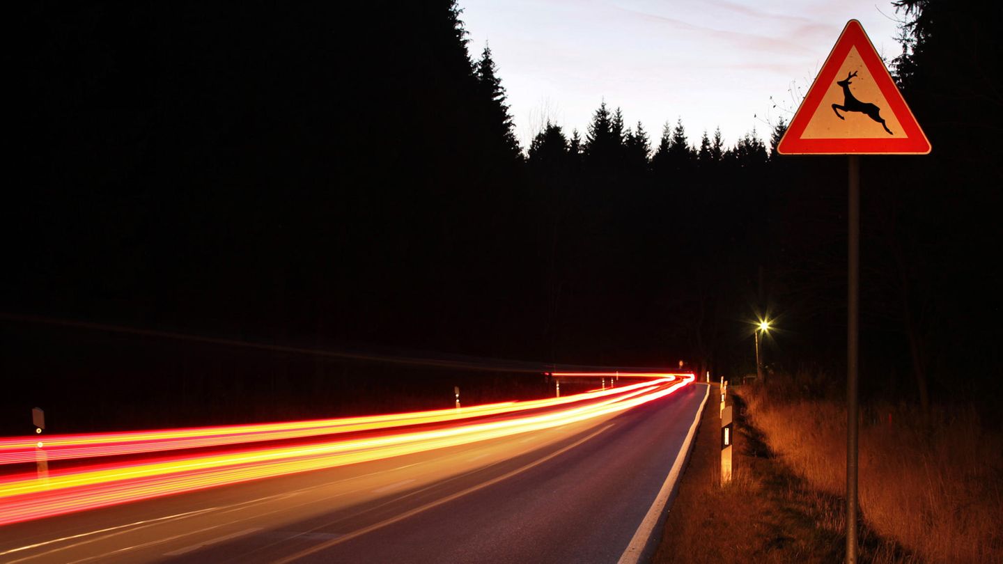 Dämmerige Straße mit einem Schild, das vor Wildwechsel warnt