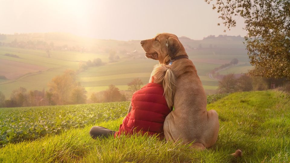 Mädchen lehnt sich an ihren Hund und schaut in den Sonnenuntergang Mädchen lehnt sich an ihren Hund und schaut in den Sonnenuntergang