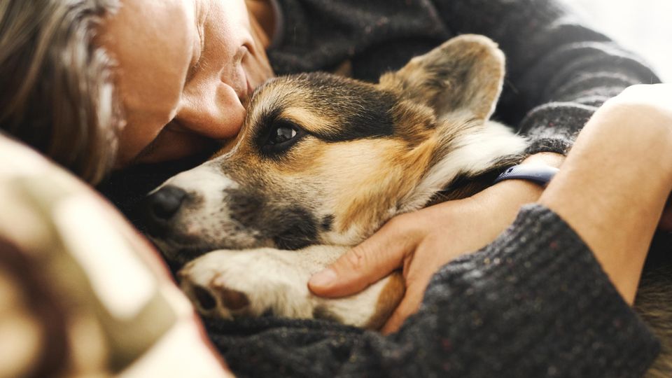 Mann kuschelt mit seinem Hund Mann kuschelt mit seinem Hund