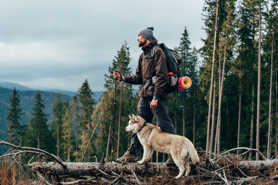 Wanderer mit einem Sibirischen Husky in den Bergen