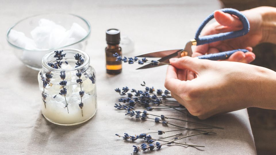 Lavendel-Kerze wird hergestellt